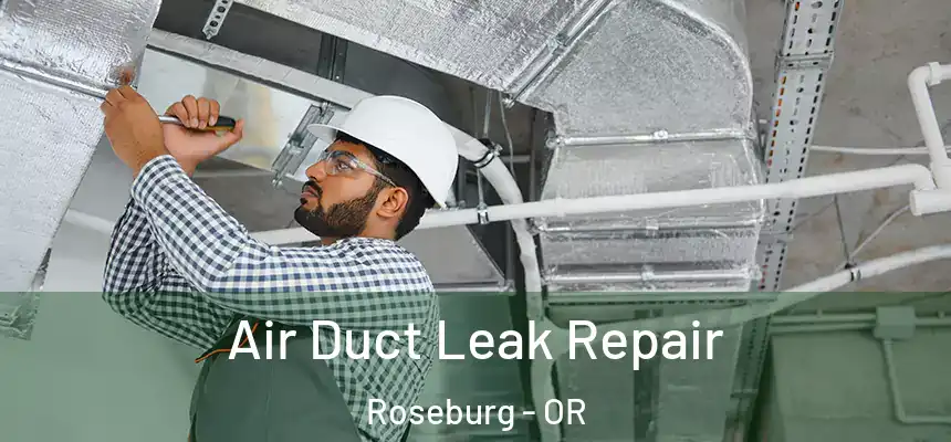 Air Duct Leak Repair Roseburg - OR