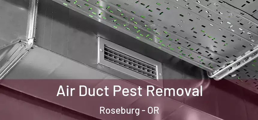  Air Duct Pest Removal Roseburg - OR