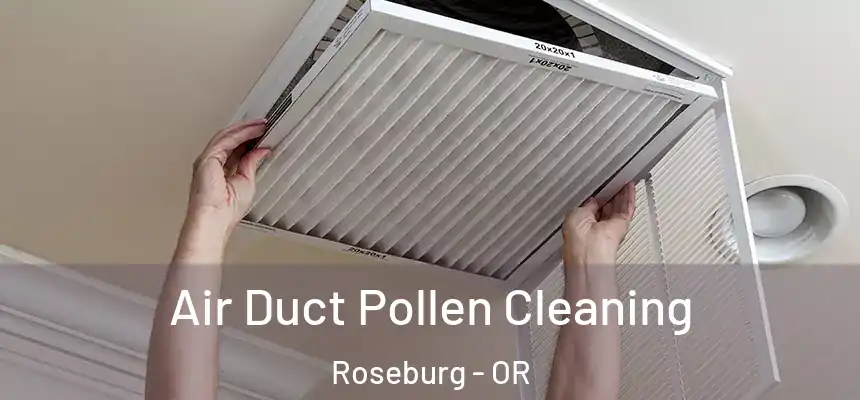  Air Duct Pollen Cleaning Roseburg - OR
