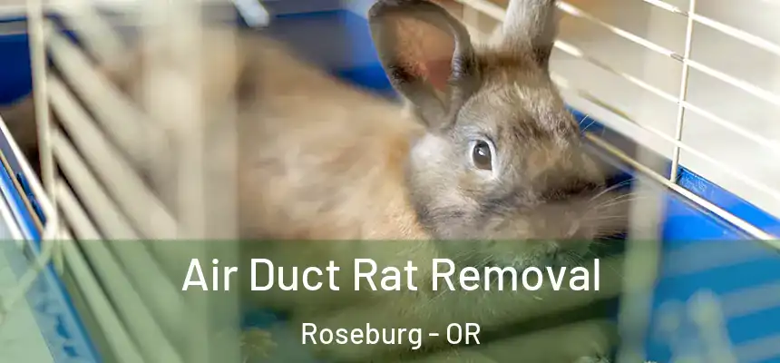  Air Duct Rat Removal Roseburg - OR