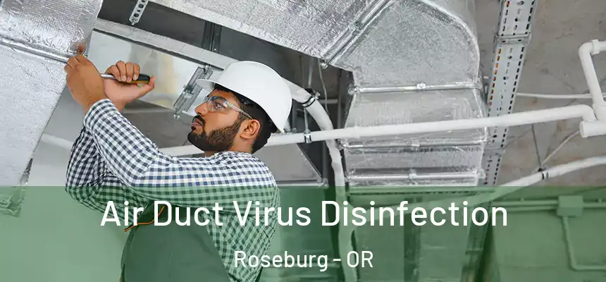  Air Duct Virus Disinfection Roseburg - OR