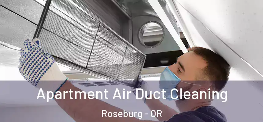 Apartment Air Duct Cleaning Roseburg - OR