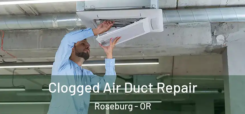 Clogged Air Duct Repair Roseburg - OR