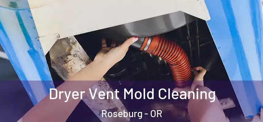  Dryer Vent Mold Cleaning Roseburg - OR