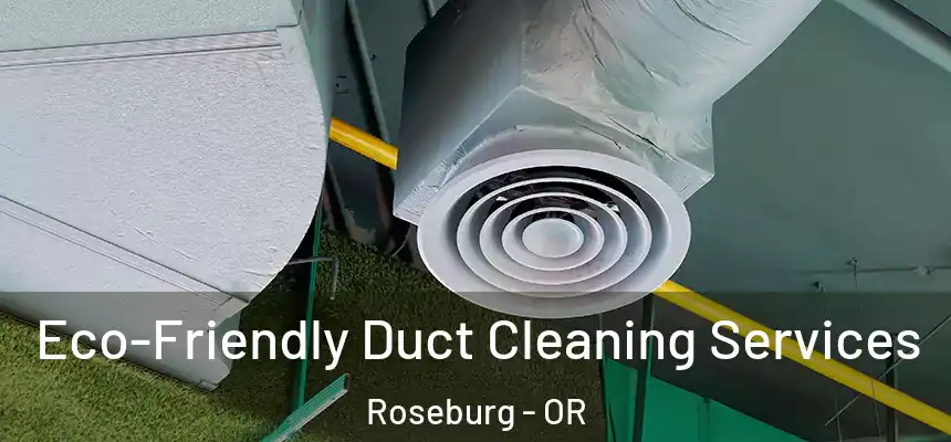  Eco-Friendly Duct Cleaning Services Roseburg - OR