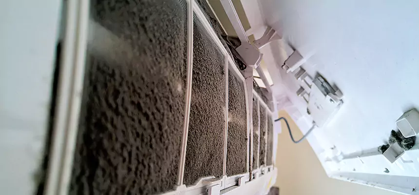 Preventive Air Duct Bacteria Removal in Roseburg