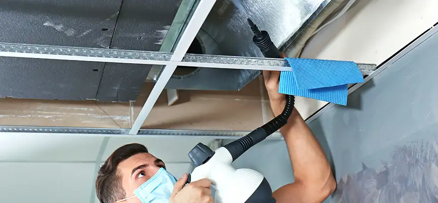 Our Air Duct Rodent Removal Services in Roseburg, OR
