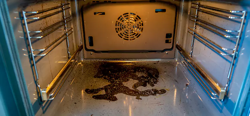 Our Dryer Vent Mold Cleaning Services in Roseburg, OR