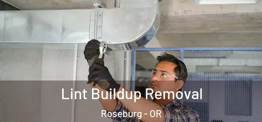 Lint Buildup Removal Roseburg - OR