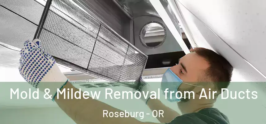  Mold & Mildew Removal from Air Ducts Roseburg - OR