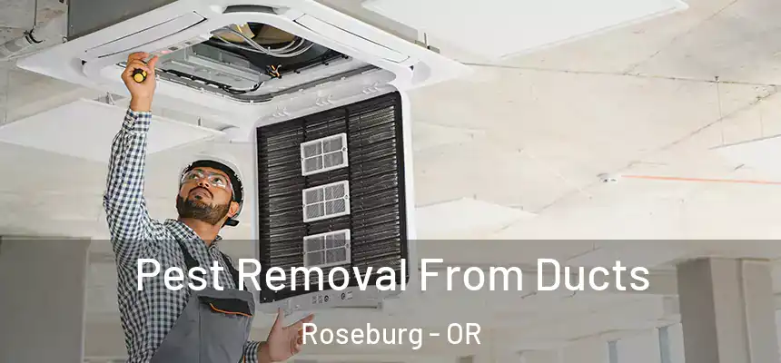  Pest Removal From Ducts Roseburg - OR