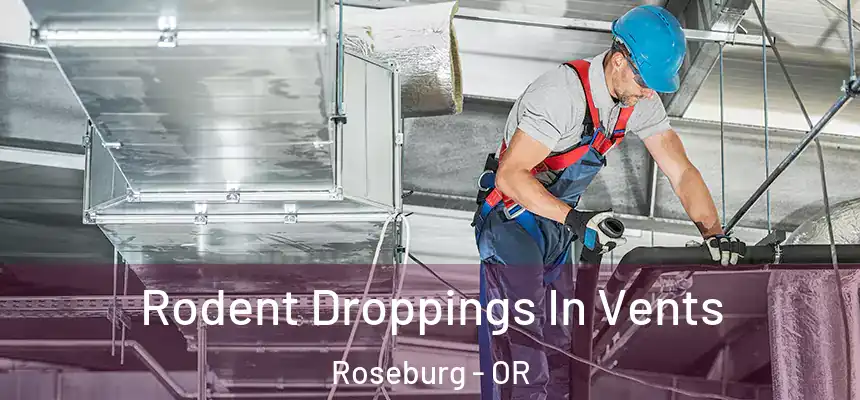 Rodent Droppings In Vents Roseburg - OR