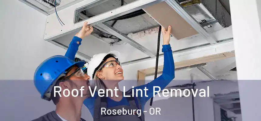 Roof Vent Lint Removal Roseburg - OR