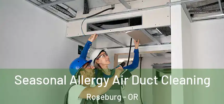 Seasonal Allergy Air Duct Cleaning Roseburg - OR