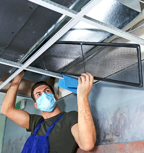 About Air Duct Bacteria Removal in Roseburg