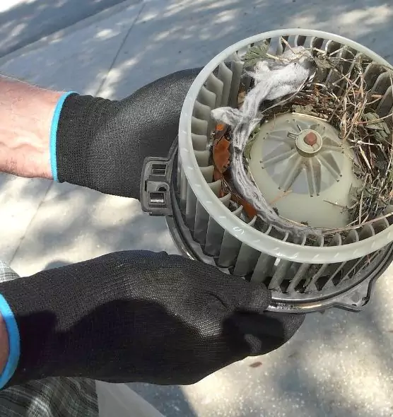 About Air Duct Mice Removal in Roseburg, OR