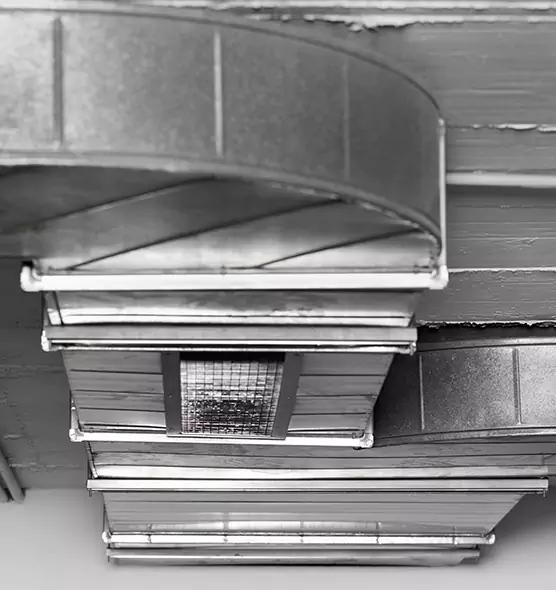 Professional Air Duct Pet Hair Removal in Roseburg, OR