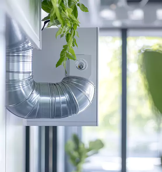 Professional Eco-Safe Dryer Vent Cleaning in Roseburg, OR