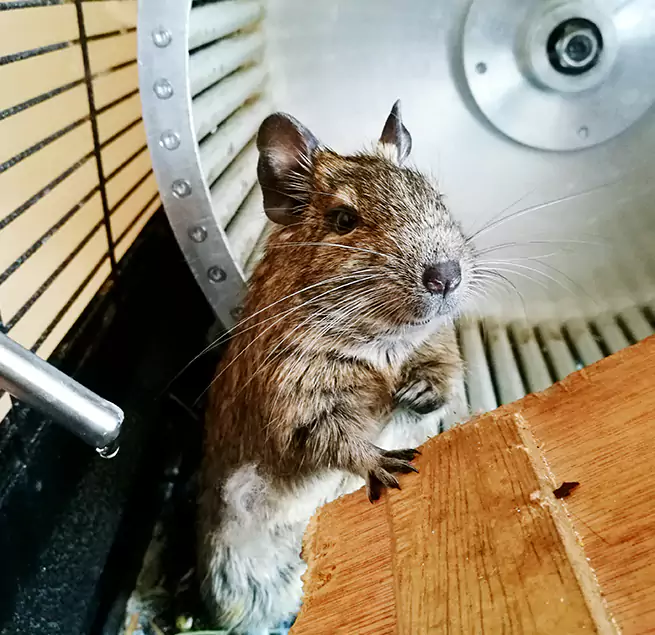 Why Homeowners & Businesses Trust Us Roseburg, OR